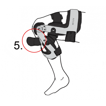 5)